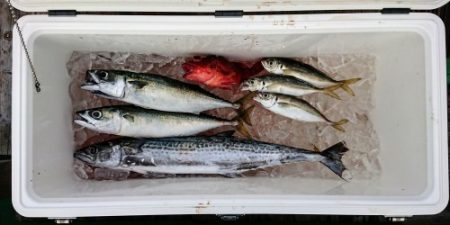 火遠理丸(ほおりまる) 釣果