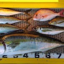 火遠理丸(ほおりまる) 釣果