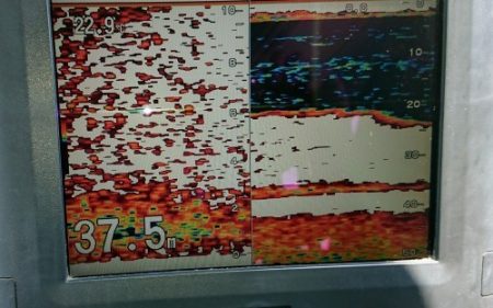 火遠理丸(ほおりまる) 釣果