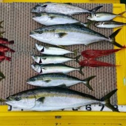 火遠理丸（ほおりまる） 釣果