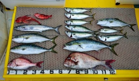 火遠理丸（ほおりまる） 釣果