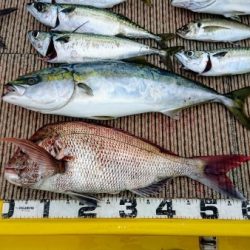 火遠理丸（ほおりまる） 釣果