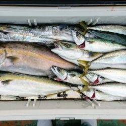 火遠理丸(ほおりまる) 釣果