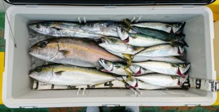 火遠理丸（ほおりまる） 釣果