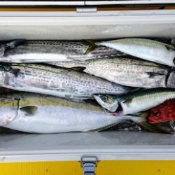 火遠理丸(ほおりまる) 釣果