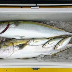 火遠理丸(ほおりまる) 釣果