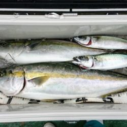 火遠理丸(ほおりまる) 釣果