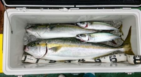 火遠理丸(ほおりまる) 釣果