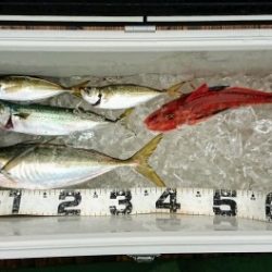 火遠理丸(ほおりまる) 釣果