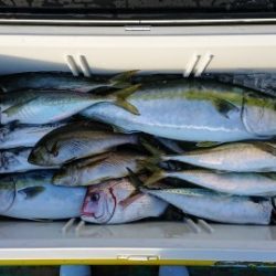 火遠理丸(ほおりまる) 釣果