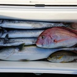 火遠理丸(ほおりまる) 釣果