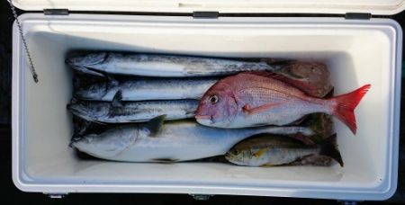 火遠理丸(ほおりまる) 釣果