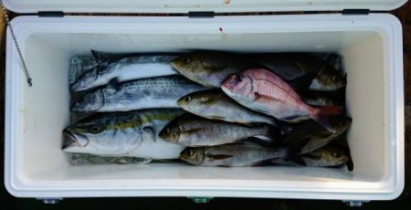 火遠理丸(ほおりまる) 釣果