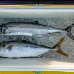 火遠理丸(ほおりまる) 釣果