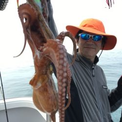 ミタチ丸 釣果