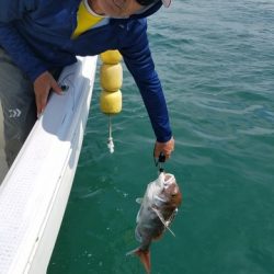 遊漁船 ニライカナイ 釣果