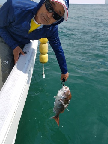 遊漁船 ニライカナイ 釣果