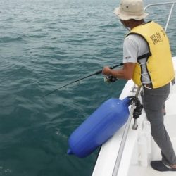 開進丸 釣果