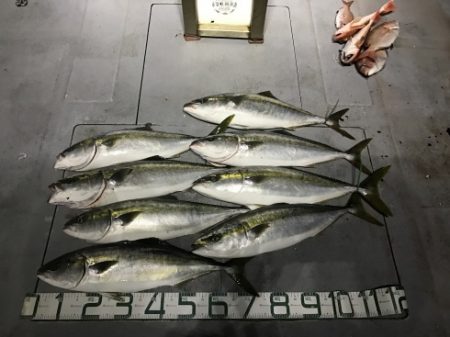 NAKAMARU 釣果