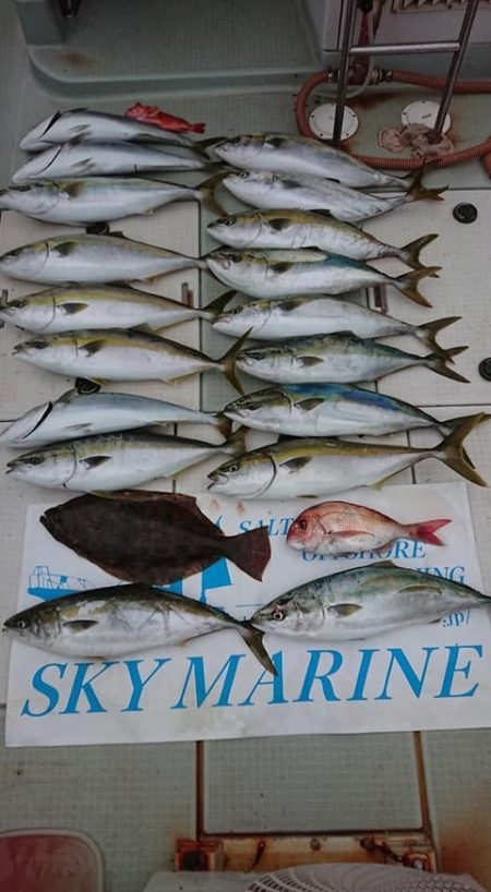 スカイマリン 釣果