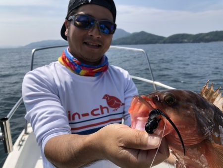 Magic(マジック) 釣果