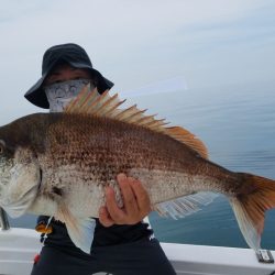 遊漁船 ニライカナイ 釣果