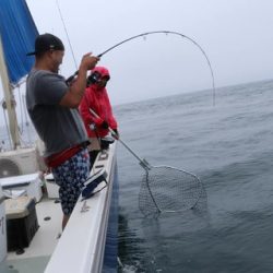 スカイマリン 釣果