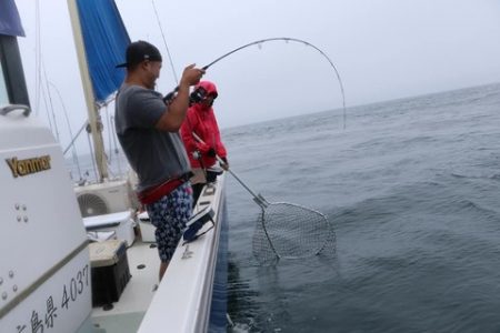 スカイマリン 釣果