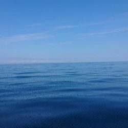 スカイマリン 釣果