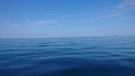 スカイマリン 釣果