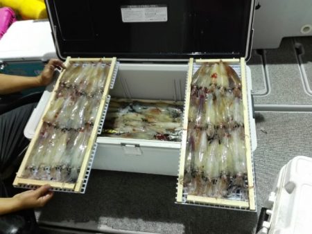 第二大福丸 釣果