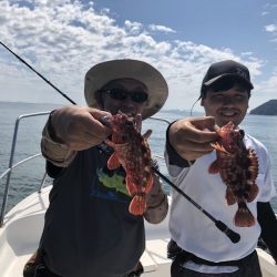 Magic（マジック） 釣果