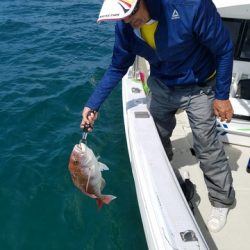遊漁船 ニライカナイ 釣果