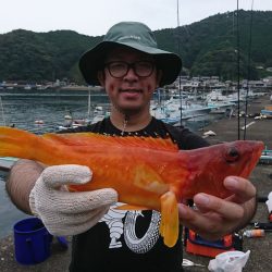 筏マルキ 釣果
