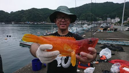 筏マルキ 釣果