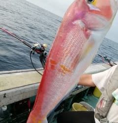 松福丸 釣果
