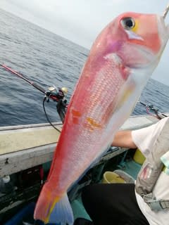 松福丸 釣果