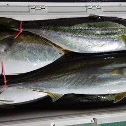 スカイマリン 釣果