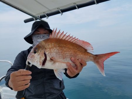 遊漁船 ニライカナイ 釣果