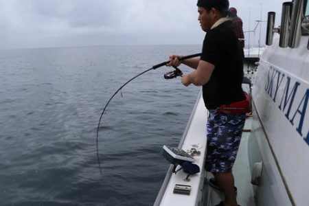 スカイマリン 釣果