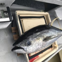 まると屋 釣果