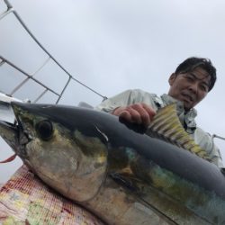 まると屋 釣果