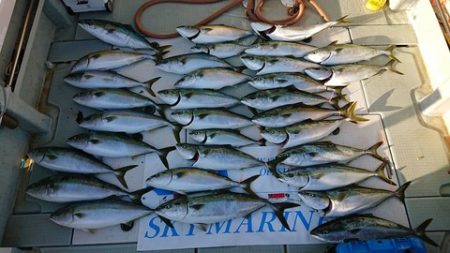 スカイマリン 釣果