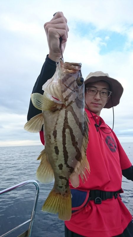 シードリーム 釣果