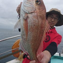 シードリーム 釣果