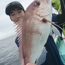 シードリーム 釣果