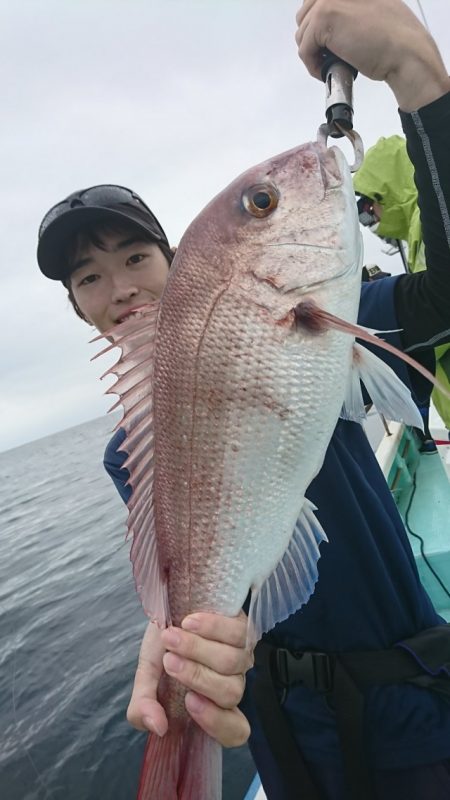 シードリーム 釣果