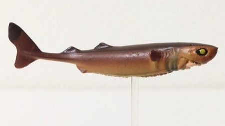 へいみつ丸 釣果