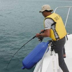 開進丸 釣果