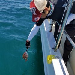 遊漁船　ニライカナイ 釣果
